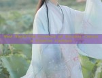 Red Hanfu:The Essence of Ancient Chinese Womens Fashion
