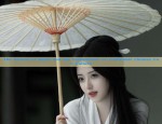 The Evolution of Hanfu Headdress Accessories:A Look into the Cultural Significance of Both Sides