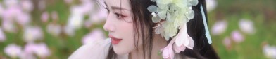 The Three-Piece Set of Hanfu in Song Dynasty Style:A Glimpse into Traditional Chinese Clothing
