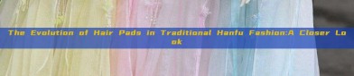 The Evolution of Hair Pads in Traditional Hanfu Fashion:A Closer Look