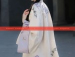 Ancient Elegance:The Rise of Traditional Chinese Womens Clothing in Summer