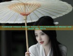 Winter Fashion:Traditional Tang-Style Chinese Womens Clothing