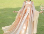 Hanfu Costumes and Accessories:A Guide to Traditional Hand-held Props