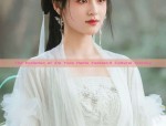 The Enchanting World of Xianren Imagery in Traditional Hanfu Fashion