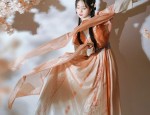 The Splendid Charm of Hanfu Fringes and Tassel Sleeves