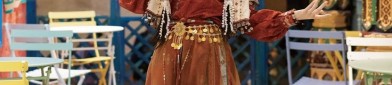The Splendor of Hanfu:The Flying Fish Costume