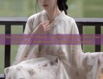 The Enigma of Black Hanfu:Exploring the Essence of Traditional Chinese Elegance