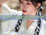 The Splendor of Tang-Style Hanfu:The Charm of Qixiong Skirts