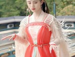 The Splendid Splendor of the Jin-Wei Era:The Evolution of the Cross-Collared Hanfu