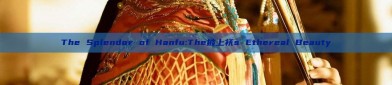 The Splendor of Hanfu:The披上袄s Ethereal Beauty