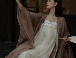 The Evolution of Puff-Sleeved Robes and Their Cultural Significance in Traditional Chinese Clothing