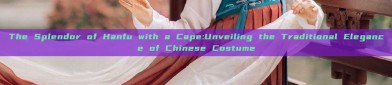 The Splendor of Hanfu with a Cape:Unveiling the Traditional Elegance of Chinese Costume