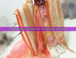 Affordable Pipa-Styled Sleeves:Exploring the World of Hanfu at白菜价