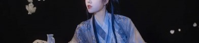 Hanfu Hair Clips:A Pair of Traditional Elegance
