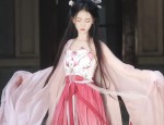 Exploring the World of Wei Wuxiáns Traditional Hanfu in The Untamed