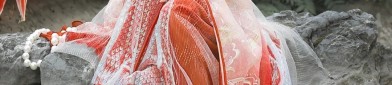 Winter Hanfu Fashion:In-Stock and Ready to Wear