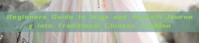 Beginners Guide to Wigs and Hanfu:A Journey into Traditional Chinese Fashion