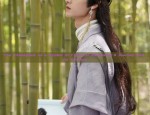 The Cheongsam as a Symbol of Classical Dancewear:A Journey into its Essence