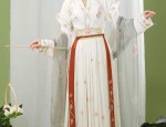 Innovative Summer Hanfu Costumes for Women:Embracing Traditional Elegance with Modern Comfort