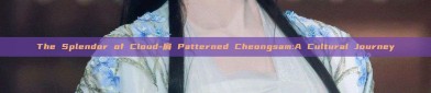 The Splendor of Cloud-肩 Patterned Cheongsam:A Cultural Journey