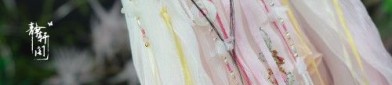 The Splendid Charm of Ming-Style Hanfu Square-Collared Piao