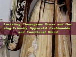 Lactating Cheongsam Dress and Nursing-Friendly Apparel:A Fashionable and Functional Blend