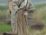 Initial Autumn Elegance:The Revival of Hanfu Fashion