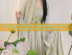 The Splendor of Ming-Style Hanfu:Round-necked Patched Robes