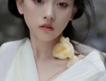 Daily Commuting in Ming-Style Cross-Collared Short Jacket with Pipa Sleeves and Hanfu Robe