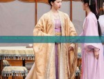 Autumn Elegance in Ming-Style Three-Piece Hanfu