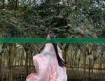 The Revival of Hanfu:Exploring the Timeless Charm of Flowing Smoke and Cold Past