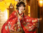 Modern Commuter Style:Reimagining Traditional Hanfu for the Youth Market