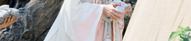 The Splendor of Ming-Style Hanfu:A Detailed Exploration of the Long Version