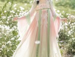 The Splendor of Hanfu:The Southern and Northern Dynasties Da Xiaoshou Ru Big Sleeve Jacket)