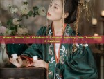 The Enigma of Ancient Chinese Womens Traditional Clothing