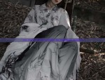The Rise of Yan Dans Hanfu Fashion:Exploring the Trend of Traditional Chinese Elegance
