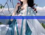 The Splendor of Hanfu Hair Combs and Tassel Decorations