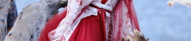 The Enchantment of Traditional Hanfu Hair Ornaments for Girls:The Story of Hair Combs
