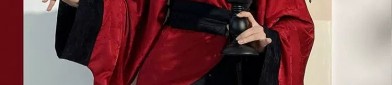 The Hidden Charm of Hanfu:The Insight of a Diabolical Elegance
