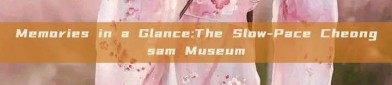 Memories in a Glance:The Slow-Pace Cheongsam Museum