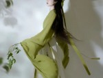 Embracing Tradition:The Qipao Womens Cheongsam Top