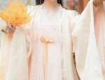 Elegant Hanfu Jacket paired with Vibrant Red Horse-Face Skirt:A Fashion Fusion