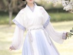 Authentic Hanfu Fashion in the Song Dynasty:A Glimpse into the Splendor of Song-Era Clothing