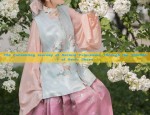 The Enchanting Journey of Ancient Princesses Through the Splendor of Hanfu Shoes