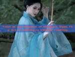 Toast to the Elegance of Miniature Qipao The Art of Saluting in Chinese Tradition