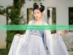The Twelve Flower Deities of Hanfu:Exploring the Symbolic Bloom of Chinese Traditional Clothing
