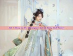 The Splendor of Ming-Style Hanfu:Round-necked Patched Robes