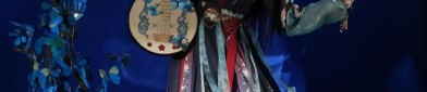 The Enchantment of a Girls Horseface Skirt and Blouse