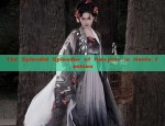 The Splendid Splendor of Hairpins in Hanfu Fashion
