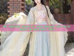 Blossom-Inspired Poetry and the Elegance of Hanfu:A Journey into Traditional Chinese Beauty